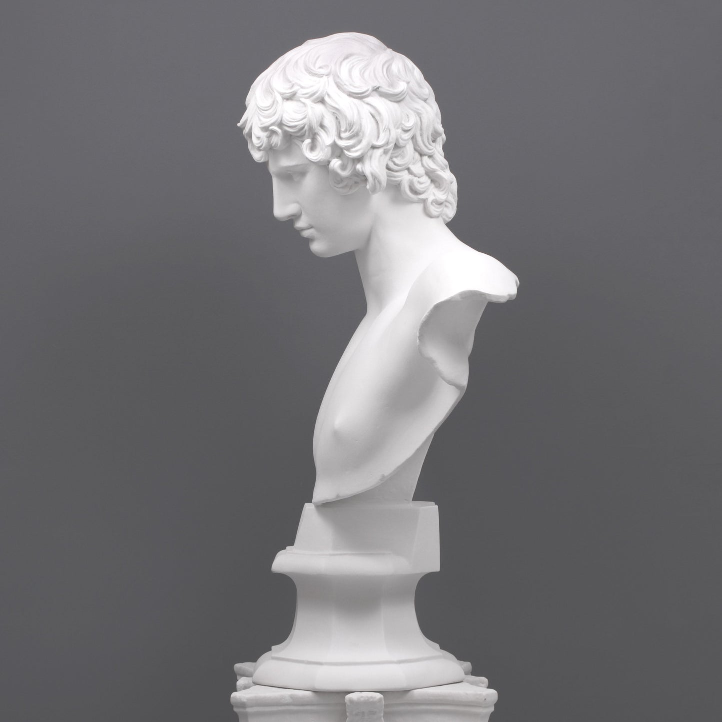 Antinous Bust (Large)