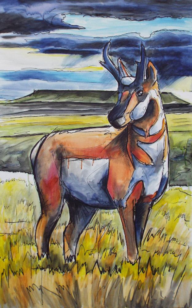 Antelope Art Prints by Ed Anderson