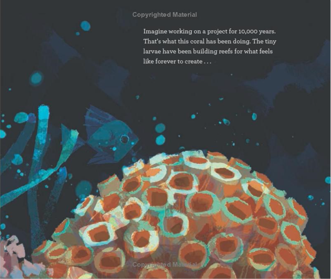 Animal Architects by Amy Cherrix and Chris Sasaki