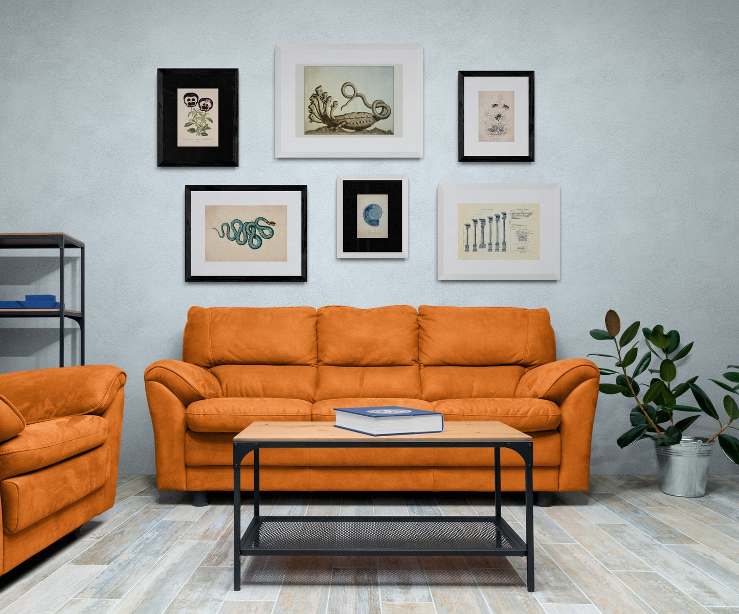 Anoectochilus Xanthophyllus Print