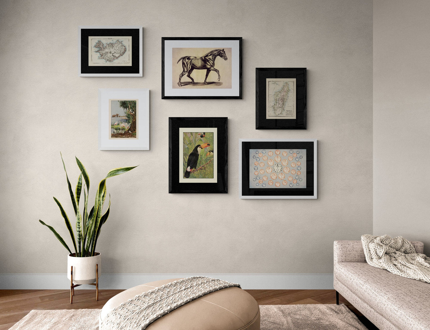 Dragons Print dated 1650