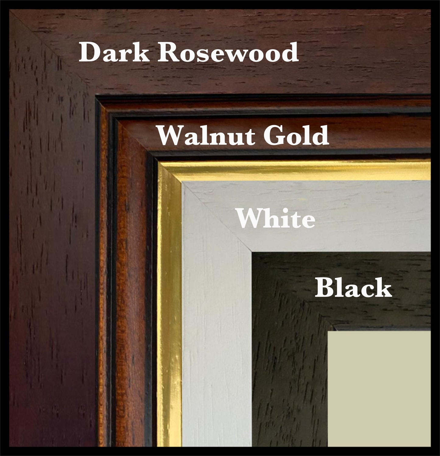 Anoectochilus Xanthophyllus Print