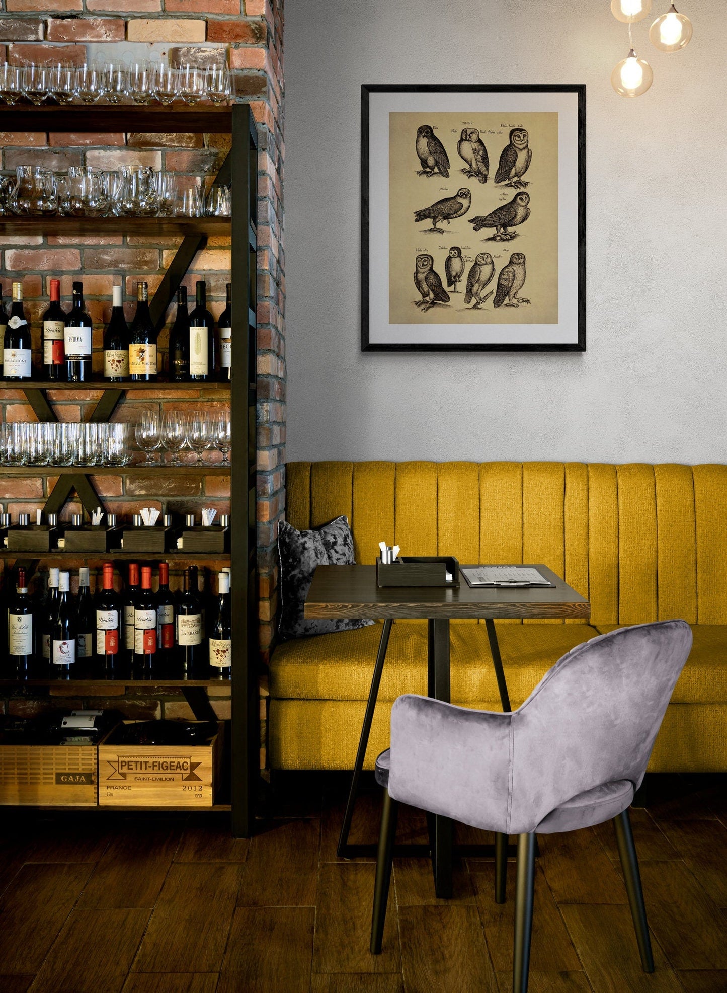 Owls Print dated 1650